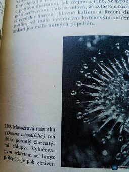 ANATOM A FYSIOL. ROSTL. PRO FARM A PŘÍR rok vyd 1945 - 3