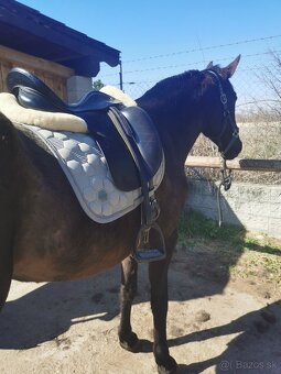 Prestige Top dressage drezurne sedlo - 3