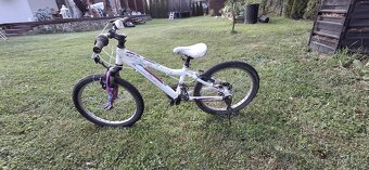 Dievčenský bicykel, 20ka - 3