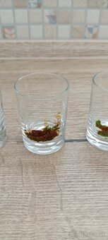 Štamperlíky - poľovnícky motív - 3