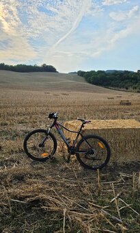 Horský bicykel 27,5 CTM Charisma 3.0 - 3