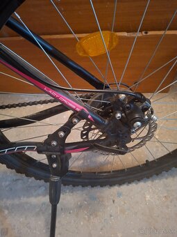 Damsky bicykel CTM Suzzy 2,0 - 3