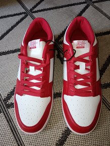 Usa champions AKCIA - 3