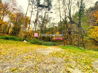 Chata v lese: el., voda, internet tesla, satelit, fotovoltik - 3