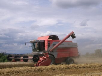 Massey Ferguson cerea 7278 - 3