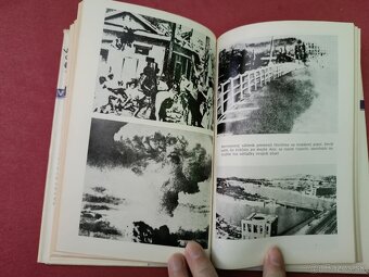 Vsevolod Ovčinnikov – Smrtiaci popol (1986) - 3