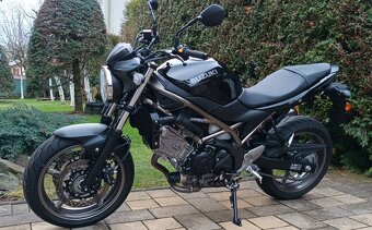 Suzuki SV 650 - 2024 - 3