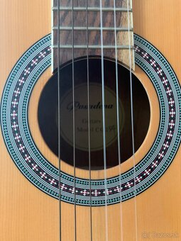 Posadena guitar - 3