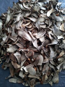 Sušené hríby,huby,kozáky - 3