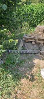 Darujem za odvoz - 3