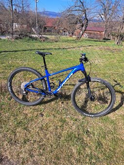 Kona kahuna - 3
