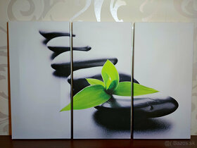 Trojobraz Zen - 3