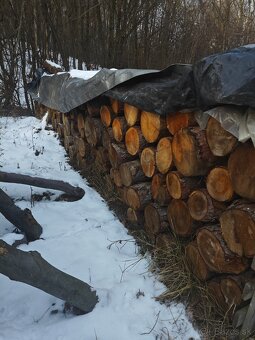 Palivové drevo - 3