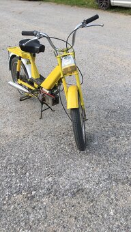 BABETTA 207 - 3