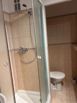 Prenajmem garsónku - 3