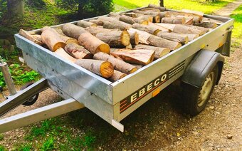 Palivové drevo - buk, jaseň - 3