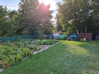 Záhrada - 3