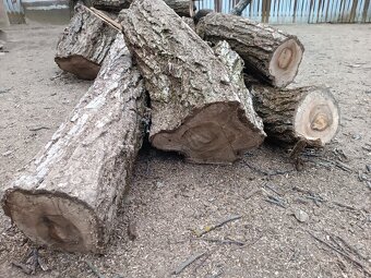 Orechové drevo - 3