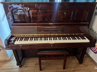 Piano STEINWAY & SONS - Zberatelsky kúsok - 3