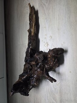 Koreň do akvária / terária - 3