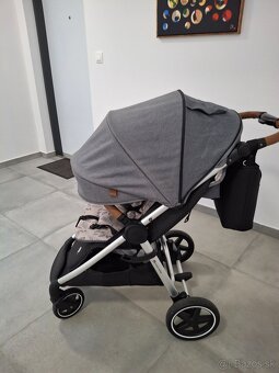 petite mars royal - 3
