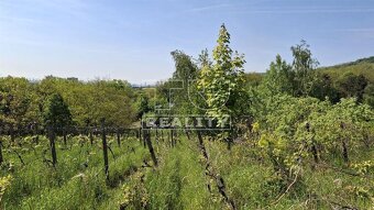 Čarovný rekreačný pozemok 14,9 árov,  na hranici... - 3