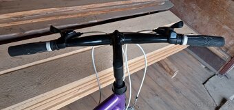 CAPRIOLO DIAVOLO 600/ 26“/19“ - 3