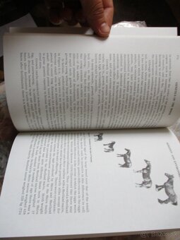 Genetics of the horse - 3