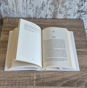 Iba jeden deň – Gayle Formanová (Ikar) - 3