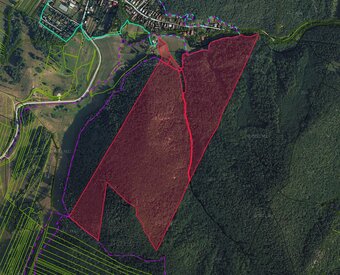 Necpaly – 5.597 m2 LESOV (Urbáru) – PREDAJ - 3