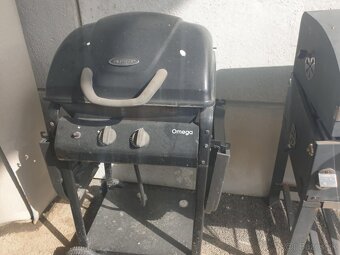 gril - 3