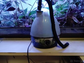 Helmoscink okuliarnatý ( red eyed crocodile skink) - 3