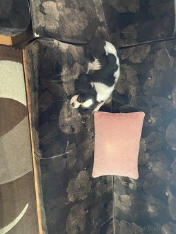 Darujeme za odvoz - 3