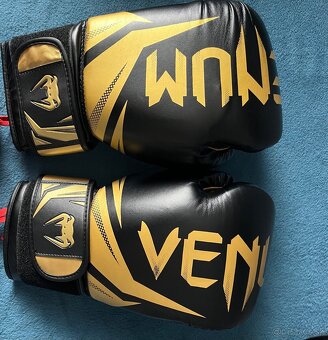 Boxerské rukavice Venum - 3