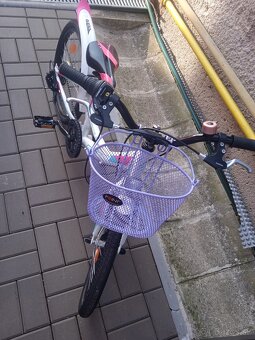 CTM detský bicykel Plus detský košík ako darček - 3