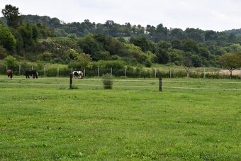 USTAJNENIE / JAZDENIE - 3