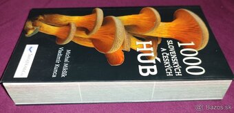 1000 slovenských a českých húb - 3