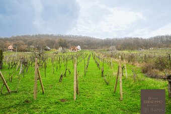 ESENCIA ÚRODY | Rodinný dom s veľkometrážnou vinicou na pred - 3