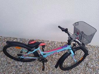 CTM Mony 24" - 3