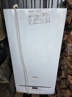 PROTHERM Tiger is - 3