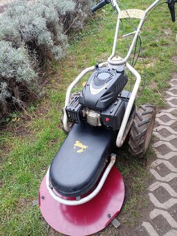 Dakr bubnova kosacka - 3