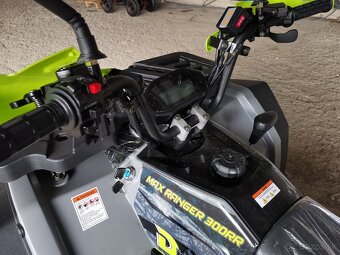 Ranger 300 RR - 3