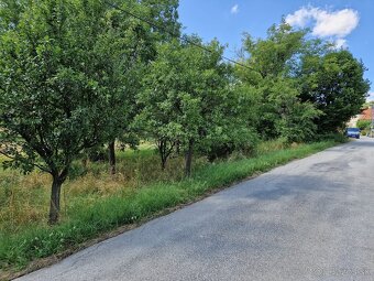 Slnečný pozemok so slivkovým sadom a hospodárskou budovo - 3