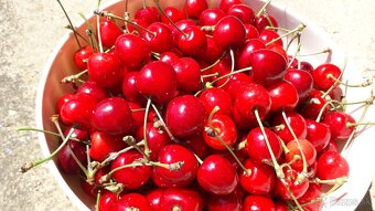 REZERVE-Čerešne 2,50 Eur/kg, BIO kvalita - 3
