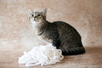 ❤ Dorka - jemná a zlatá dáma - 3