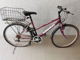 Stary bicykel bordovy - 3