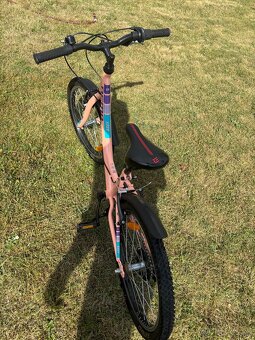 Dievčenský bicykel DEMA Young Lady - 3