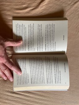 Ako som sa stal starostom Reykjavíku - 3