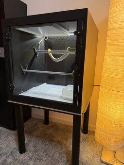 Pytón Morelia viridis + terarium - 3