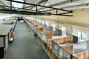 Stajní, ošetrovať koní - 3